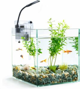 Acquario Nobleza 27L con LED e sistema di filtraggio integrato  