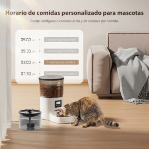 Recensione del distributore IMIPAW per gatti con fontanella filtrante  