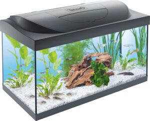 Acquario Tetra Starter Line LED 54 l per principianti, con illuminazione LED e modalità giorno/notte.