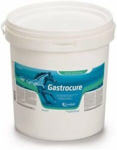 Protezione efficace dello stomaco del cavallo con Candioli GASTROCURE, scopri i benefici.