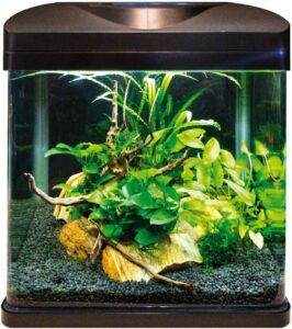 Acquario AMTRA LAGUNA LED 40 con coperchio, illuminazione LED e filtro integrato, capacità 30 litri  