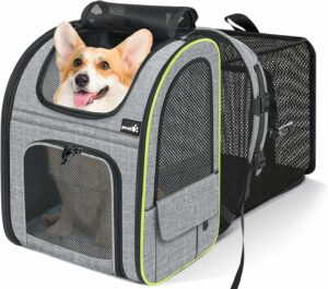 Zaino estensibile Pecute per cani e gatti, trasportino portatile perfetto per viaggi  