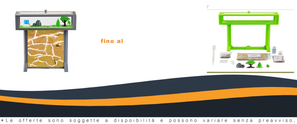 AntHouse - Formicaio di Sabbia 3D con formiche incluse, kit educativo