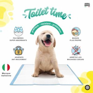 Tappetini Igienici Animal House 120PZ Camomilla, ideali per animali, alta assorbenza e protezione contro gli odori